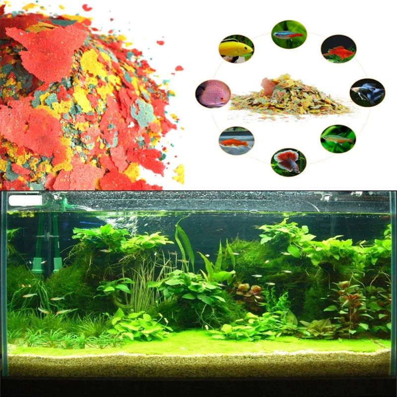 NEW Healthy Fish Food Flakes F - Health Wellness Items ulasan dan harga