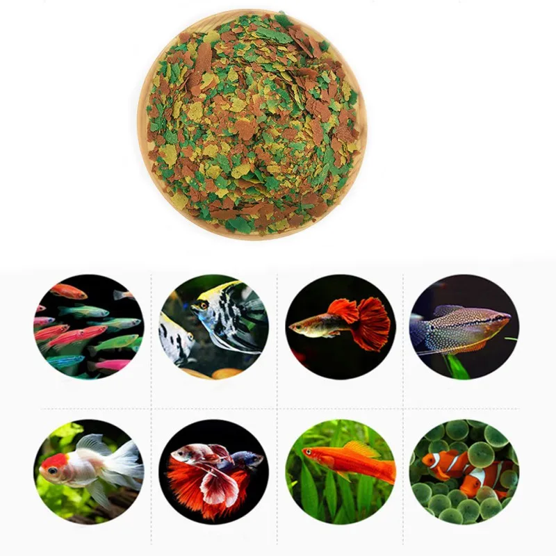 NEW Healthy Fish Food Flakes F - Health Wellness Items ulasan dan harga