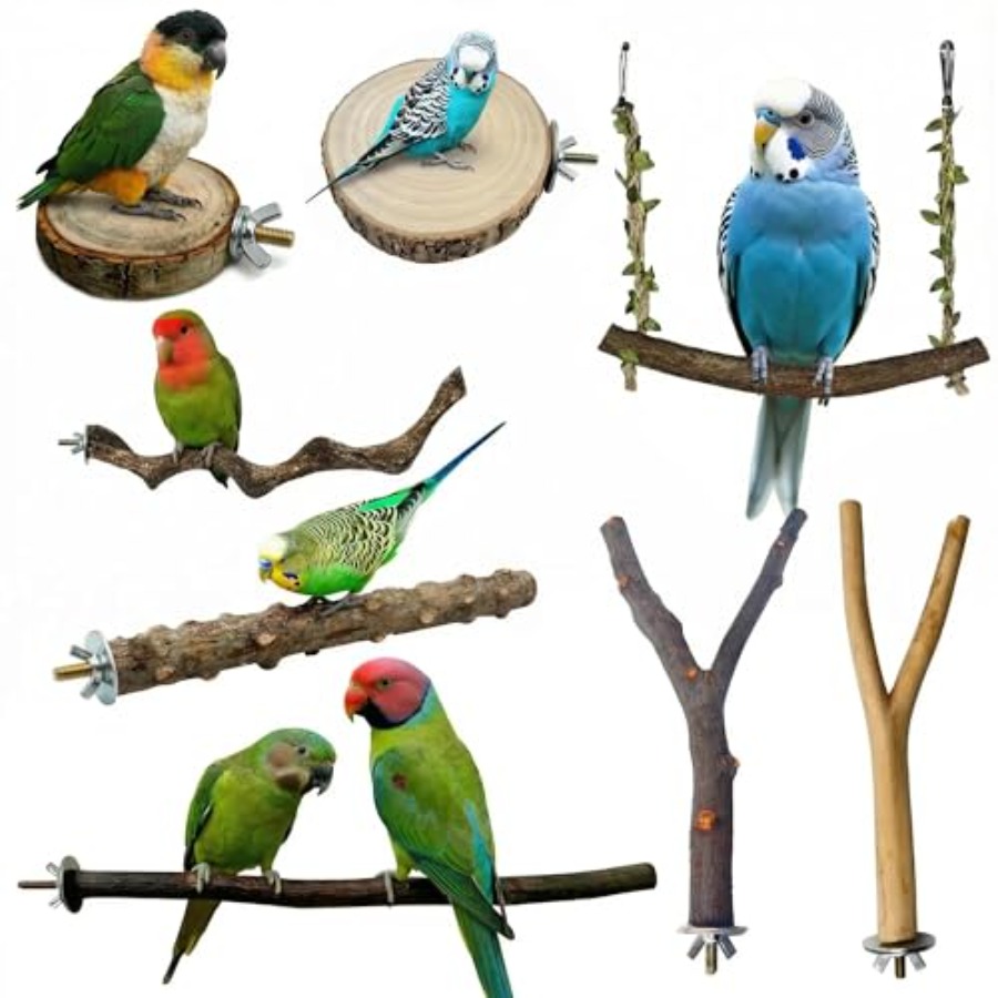 8PCS natural wood bird perches - Health & Wellness Gordon Edlin ulasan dan harga