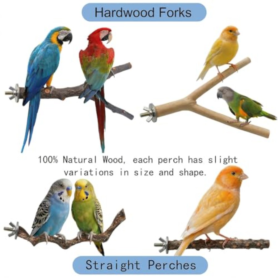 8PCS natural wood bird perches - Health & Wellness Gordon Edlin ulasan dan harga