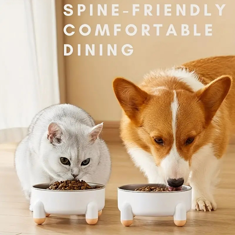 Anti-skid Pet Feeder Bowl Stai - Health Wellness Items ulasan dan harga